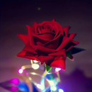 A Rosa Encantada Luminária Abajur com LED O Encanto da Magia Inspirada na A Bela e A Fera e no O Pequeno Príncipe A Rosa